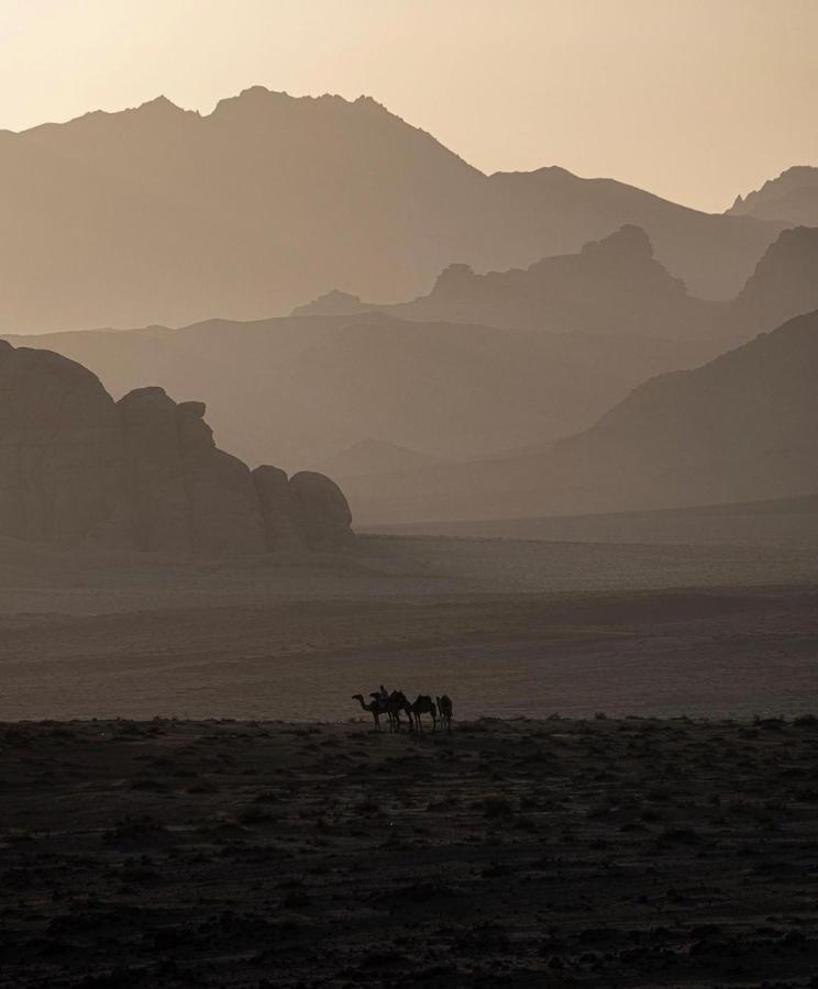 Wadirum Zeid Camp&Tours Wadi Rum Exteriér fotografie