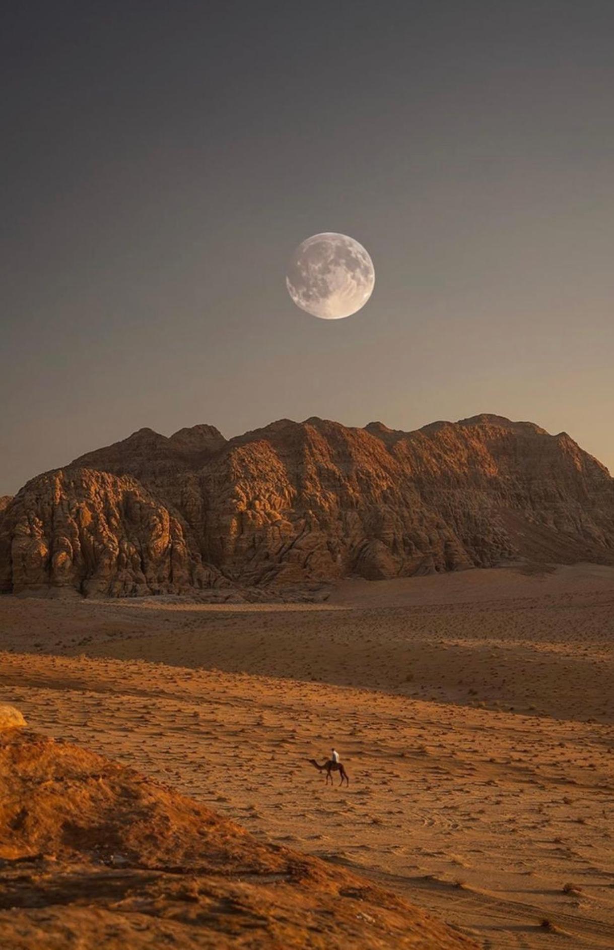 Wadirum Zeid Camp&Tours Wadi Rum Exteriér fotografie