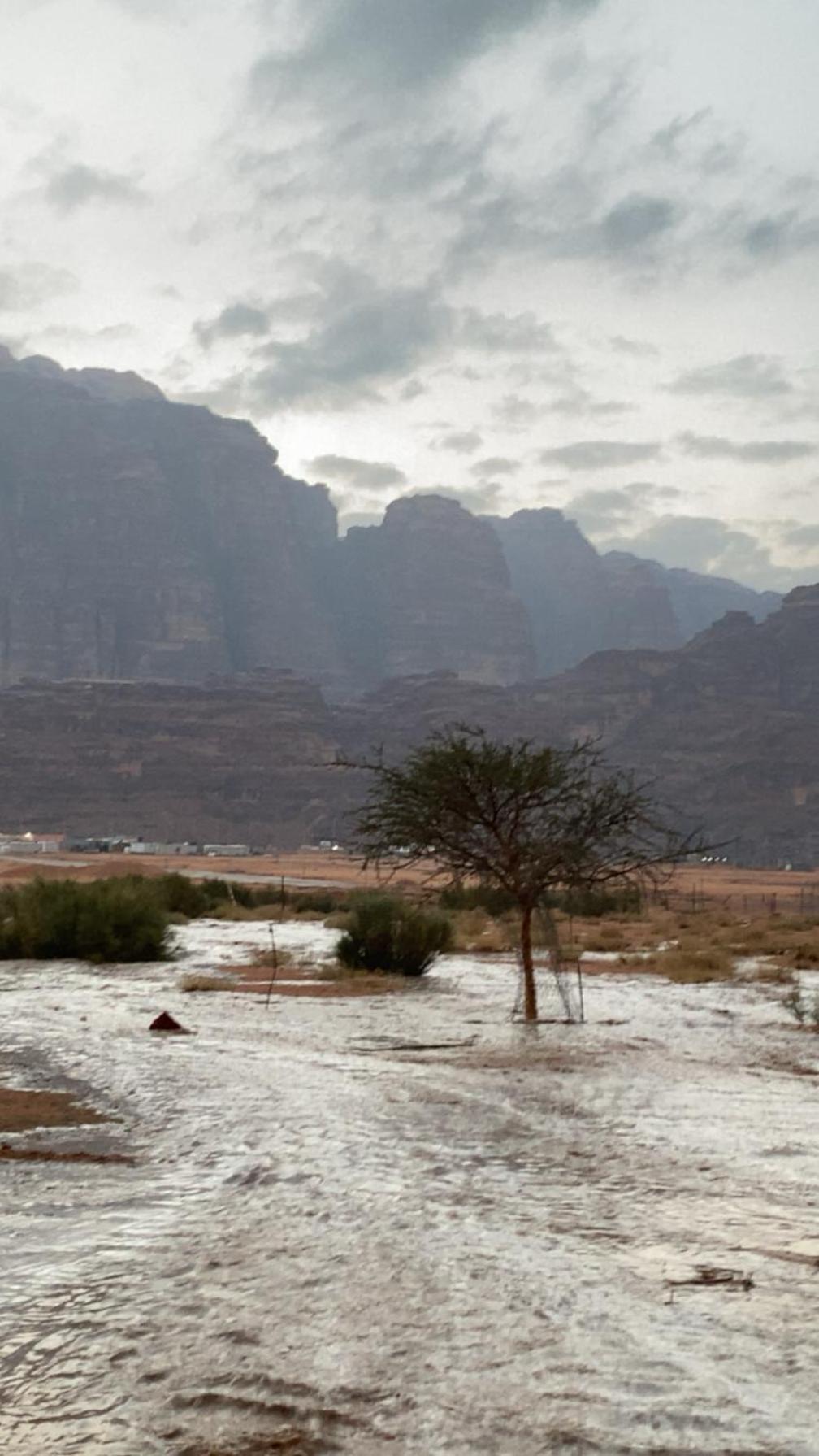 Wadirum Zeid Camp&Tours Wadi Rum Exteriér fotografie