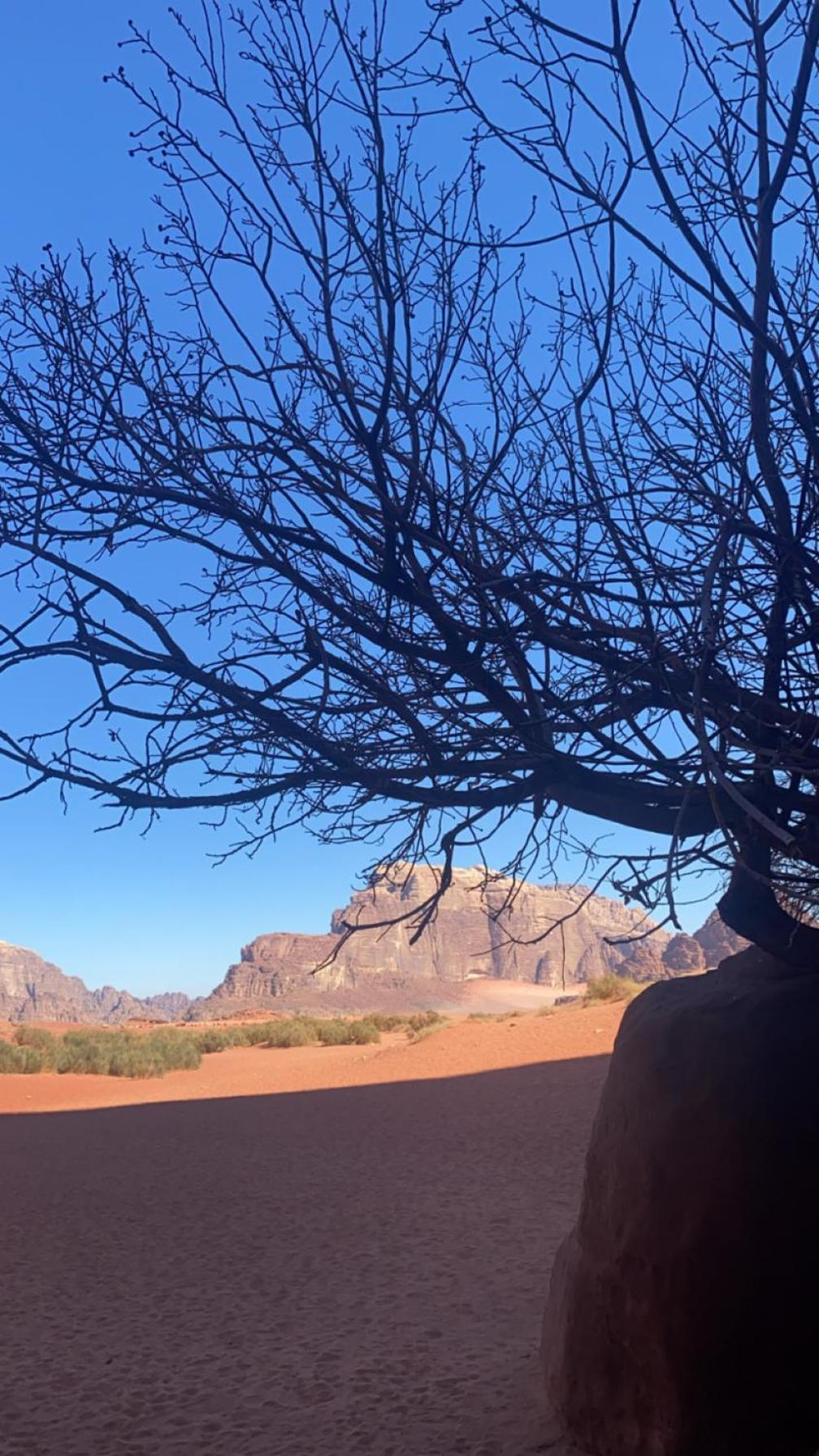 Wadirum Zeid Camp&Tours Wadi Rum Exteriér fotografie